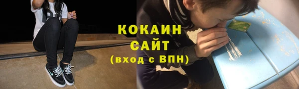 мяу мяу мука Инсар