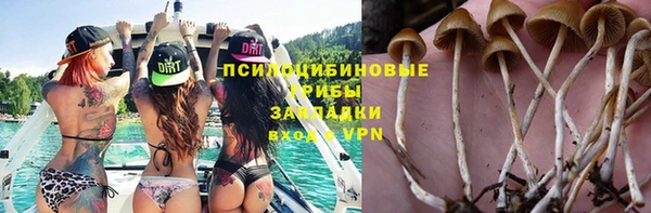мяу мяу мука Инсар