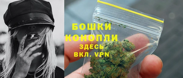 ECSTASY Инта