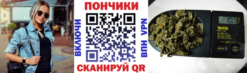 Бошки марихуана сатива  Купить  Новый Оскол 